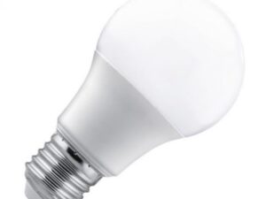 Led sijalica A60/E27/12W