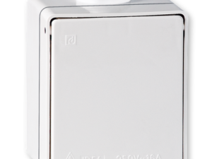 Priključnica dvopolna, 16A